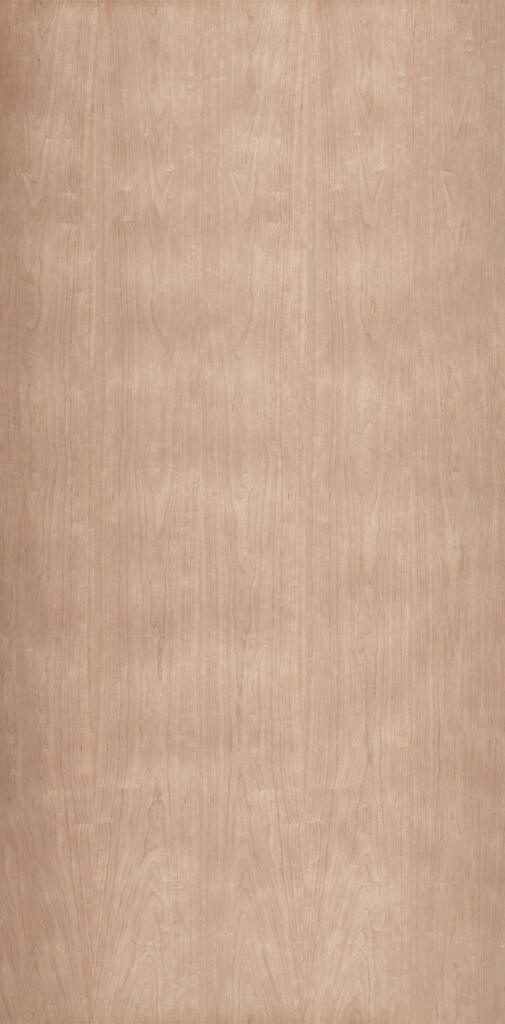 Cherry American Flat Vertical.JPG